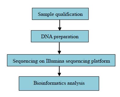 Resekvenování lidského genomu