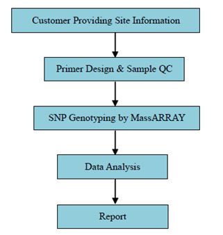 SNP Genotypizace pomocí MassARRAY