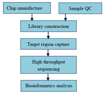 Sekvenování a detekce lidského MHC