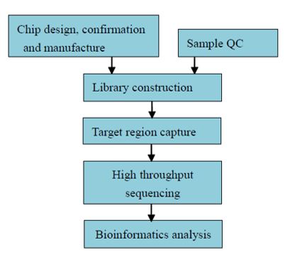 Sekvenování cílových oblastí u rostlin a zvířat