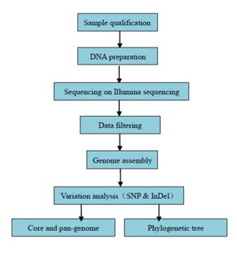 16S rDNA tagging