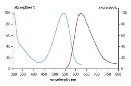 StainIN ™ RED excitační maximum - 540 nm a emisní maximum - 630 nm