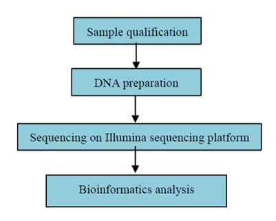 Celogenomové resekvenování u jedince