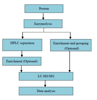 Proteomika modifikací