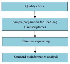 Experimentální postup a metody