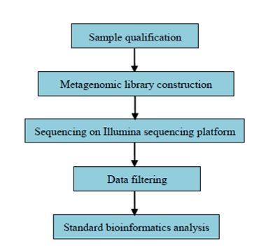 Metagenomický průzkum