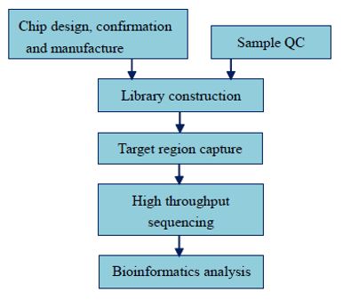 Sekvenování lidského cílového regionu
