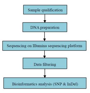 Celogenomové re-sekvenování u hub