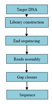 Konstrukce knihovny strategií brokovnice a sekvenování