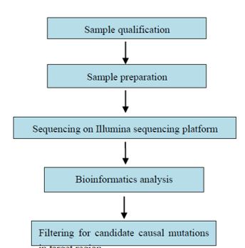 Detekce bodových mutací a přesná lokalizace na základě vysokokapacitního sekvenování