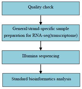 Experimentální postup a metody