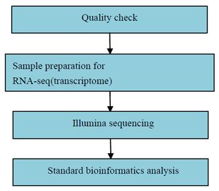 Experimentální postup a metody