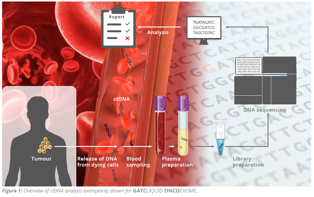 Přehled analýzy ctDNA