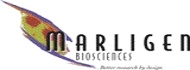 marligen