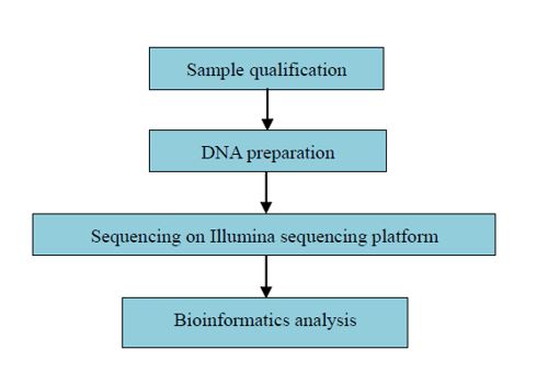 RAD-Seq genetická mapa s vysokou hustotou