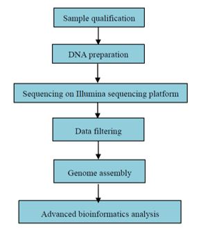 Celogenomové re-sekvenování u bakterií
