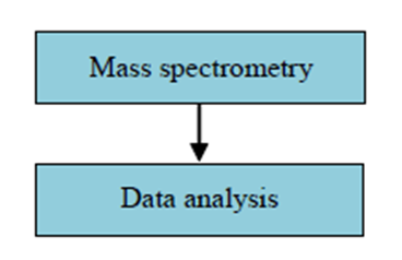 Detekce molekulové hmotnosti proteinů
