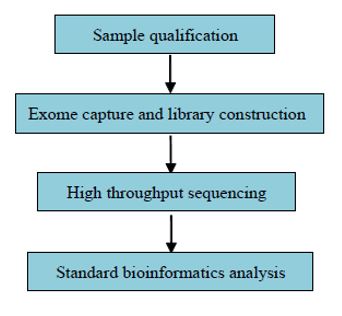 Sekvenování lidského exomu