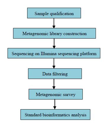 Vytvoření katalogu genů u mikrobů