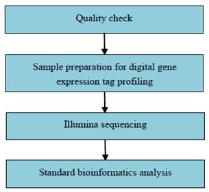 Experimentální postup a metody