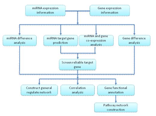 Experimentální postup a metody
