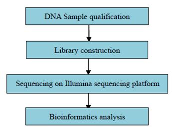 Experimentální postupy a metody