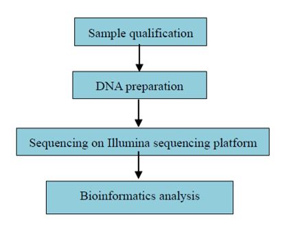 Vývoj populace na základě celogenomového resekvenování
