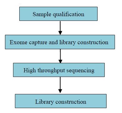 Sekvenování exomu u rostlin a zvířat