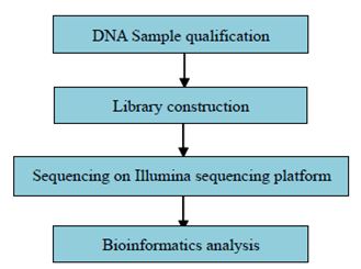 Experimentální postup a metody