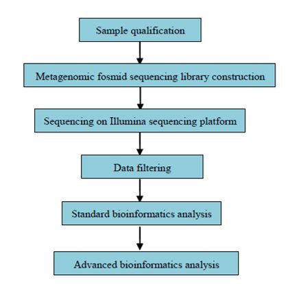 Metagenomické sekvenování fosmidové knihovny