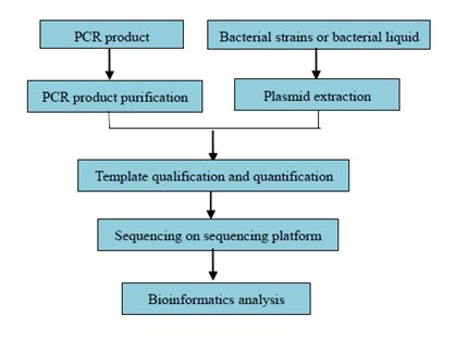 Sekvenování jednotlivých vzorků