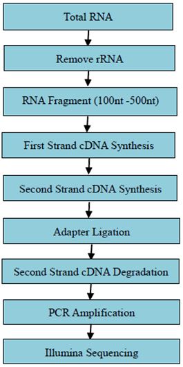 Experimentální postup a metody