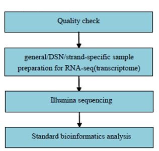 Experimentální postup a metody