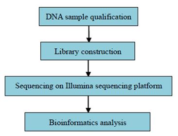Experimentální postup a metody