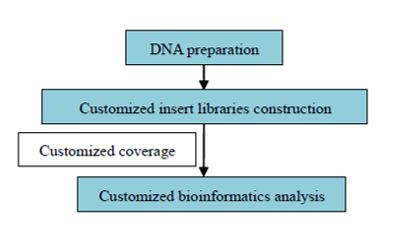 Genomová mapa - analýza na zakázku