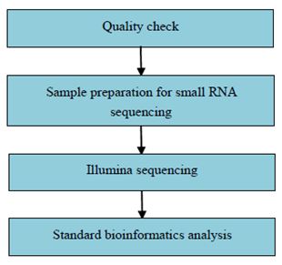 Experimentální postup a metody